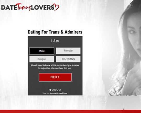 DateTransLovers.com Logo