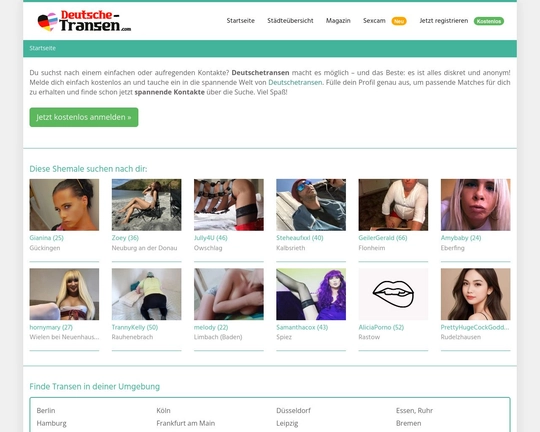 DeutscheTransen.com Logo